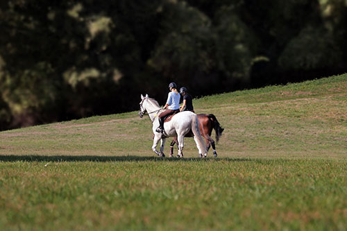 Advertise your Vancouver area outdoor activities to locals and tourists alike.