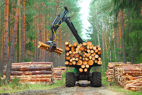 Showcase your forestry construction business to Vancouver and surrounding area customers.